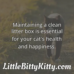 Maintaining a clean litter box is essential for your cat's health and happiness.