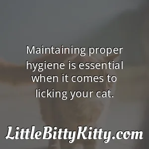 Maintaining proper hygiene is essential when it comes to licking your cat.