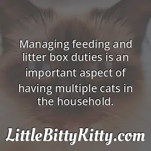 Managing feeding and litter box duties is an important aspect of having multiple cats in the household.