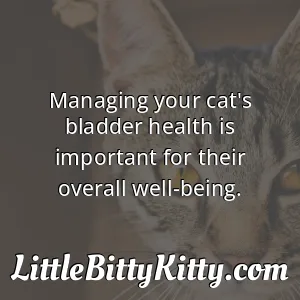 Managing your cat's bladder health is important for their overall well-being.