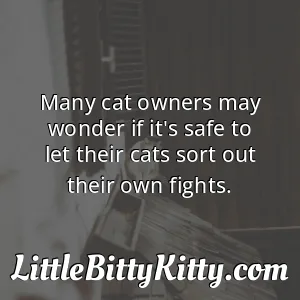 Many cat owners may wonder if it's safe to let their cats sort out their own fights.