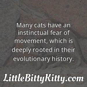 Many cats have an instinctual fear of movement, which is deeply rooted in their evolutionary history.