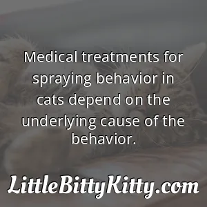 Medical treatments for spraying behavior in cats depend on the underlying cause of the behavior.