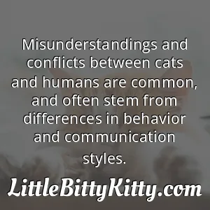 Misunderstandings and conflicts between cats and humans are common, and often stem from differences in behavior and communication styles.