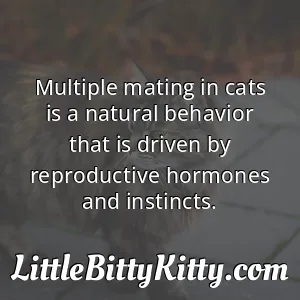 Multiple mating in cats is a natural behavior that is driven by reproductive hormones and instincts.