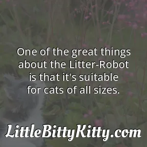 One of the great things about the Litter-Robot is that it's suitable for cats of all sizes.