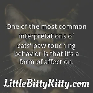 One of the most common interpretations of cats' paw touching behavior is that it's a form of affection.