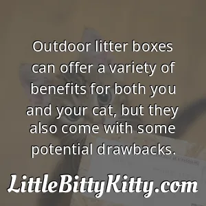 Outdoor litter boxes can offer a variety of benefits for both you and your cat, but they also come with some potential drawbacks.