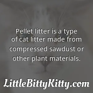 Pellet litter is a type of cat litter made from compressed sawdust or other plant materials.