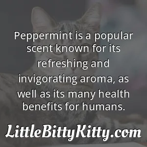 Peppermint is a popular scent known for its refreshing and invigorating aroma, as well as its many health benefits for humans.
