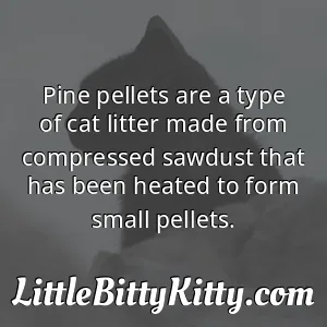 Pine pellets are a type of cat litter made from compressed sawdust that has been heated to form small pellets.