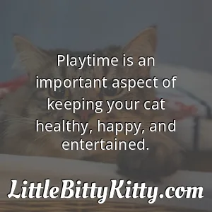 Playtime is an important aspect of keeping your cat healthy, happy, and entertained.