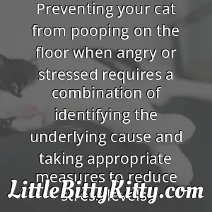 Preventing your cat from pooping on the floor when angry or stressed requires a combination of identifying the underlying cause and taking appropriate measures to reduce stress levels.