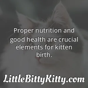 Proper nutrition and good health are crucial elements for kitten birth.