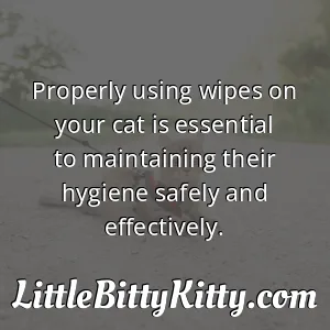Properly using wipes on your cat is essential to maintaining their hygiene safely and effectively.