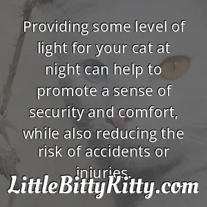 Providing some level of light for your cat at night can help to promote a sense of security and comfort, while also reducing the risk of accidents or injuries.