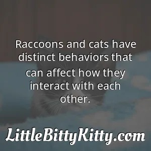Raccoons and cats have distinct behaviors that can affect how they interact with each other.
