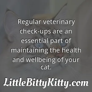 Regular veterinary check-ups are an essential part of maintaining the health and wellbeing of your cat.