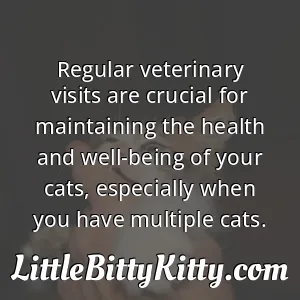Regular veterinary visits are crucial for maintaining the health and well-being of your cats, especially when you have multiple cats.