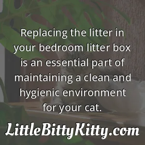 Replacing the litter in your bedroom litter box is an essential part of maintaining a clean and hygienic environment for your cat.
