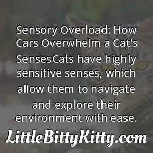 Sensory Overload: How Cars Overwhelm a Cat's SensesCats have highly sensitive senses, which allow them to navigate and explore their environment with ease.