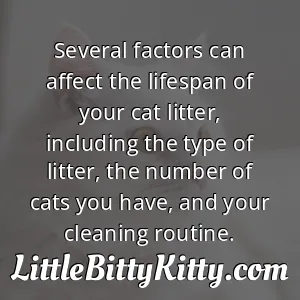 Several factors can affect the lifespan of your cat litter, including the type of litter, the number of cats you have, and your cleaning routine.