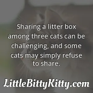 Sharing a litter box among three cats can be challenging, and some cats may simply refuse to share.