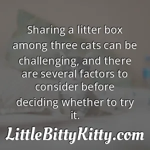 Sharing a litter box among three cats can be challenging, and there are several factors to consider before deciding whether to try it.
