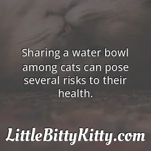 Sharing a water bowl among cats can pose several risks to their health.