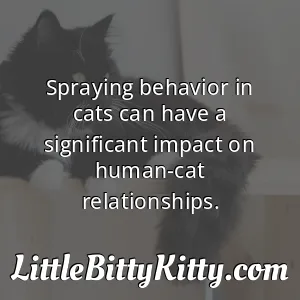 Spraying behavior in cats can have a significant impact on human-cat relationships.