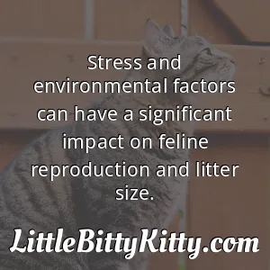 Stress and environmental factors can have a significant impact on feline reproduction and litter size.