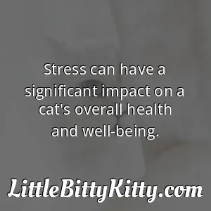 Stress can have a significant impact on a cat's overall health and well-being.
