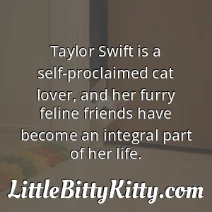 Taylor Swift is a self-proclaimed cat lover, and her furry feline friends have become an integral part of her life.