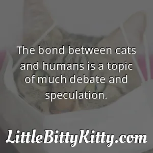 The bond between cats and humans is a topic of much debate and speculation.