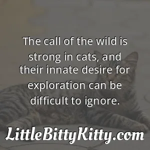 The call of the wild is strong in cats, and their innate desire for exploration can be difficult to ignore.