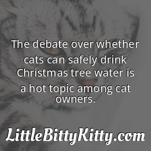 The debate over whether cats can safely drink Christmas tree water is a hot topic among cat owners.