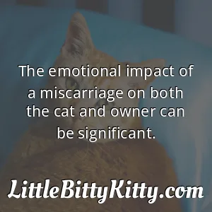 The emotional impact of a miscarriage on both the cat and owner can be significant.