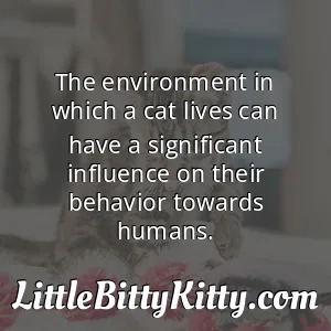 The environment in which a cat lives can have a significant influence on their behavior towards humans.
