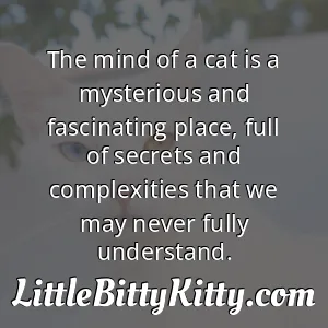 The mind of a cat is a mysterious and fascinating place, full of secrets and complexities that we may never fully understand.