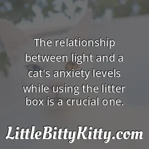 The relationship between light and a cat's anxiety levels while using the litter box is a crucial one.