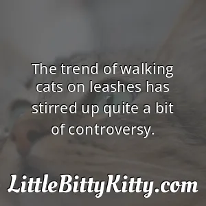 The trend of walking cats on leashes has stirred up quite a bit of controversy.