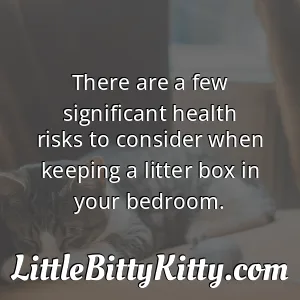 There are a few significant health risks to consider when keeping a litter box in your bedroom.