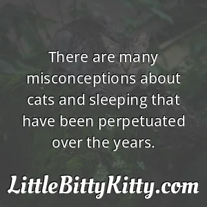 There are many misconceptions about cats and sleeping that have been perpetuated over the years.