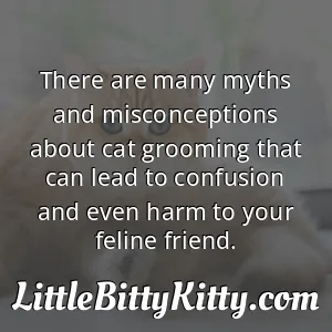 There are many myths and misconceptions about cat grooming that can lead to confusion and even harm to your feline friend.