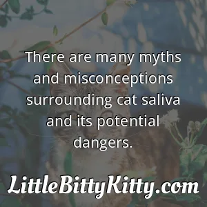 There are many myths and misconceptions surrounding cat saliva and its potential dangers.