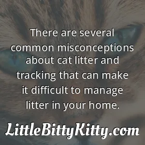 There are several common misconceptions about cat litter and tracking that can make it difficult to manage litter in your home.