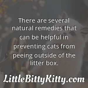 There are several natural remedies that can be helpful in preventing cats from peeing outside of the litter box.