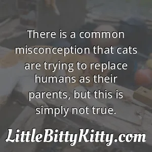 There is a common misconception that cats are trying to replace humans as their parents, but this is simply not true.