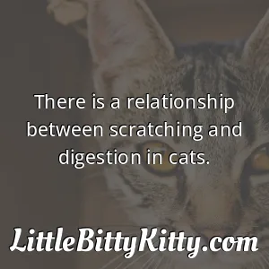 There is a relationship between scratching and digestion in cats.