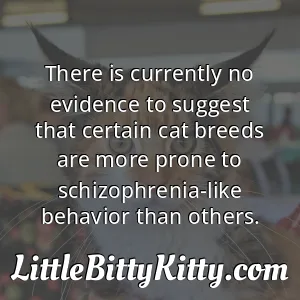 There is currently no evidence to suggest that certain cat breeds are more prone to schizophrenia-like behavior than others.
